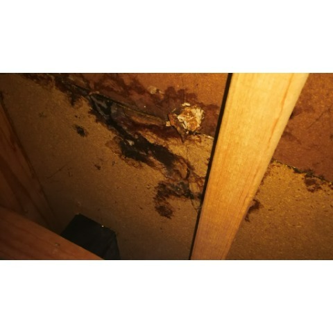 Image for Millpark Building Inspections with ID of: 7069823