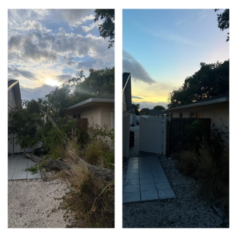 Image for Lawn and Order Tree Service with ID of: 7069830