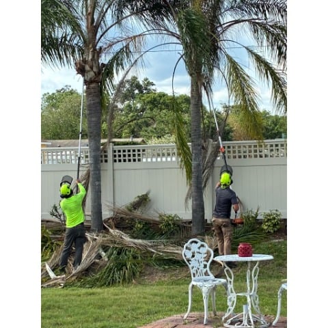 Image for Lawn and Order Tree Service with ID of: 7069833