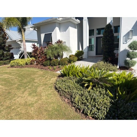 Image for Lawn and Order Tree Service with ID of: 7069834