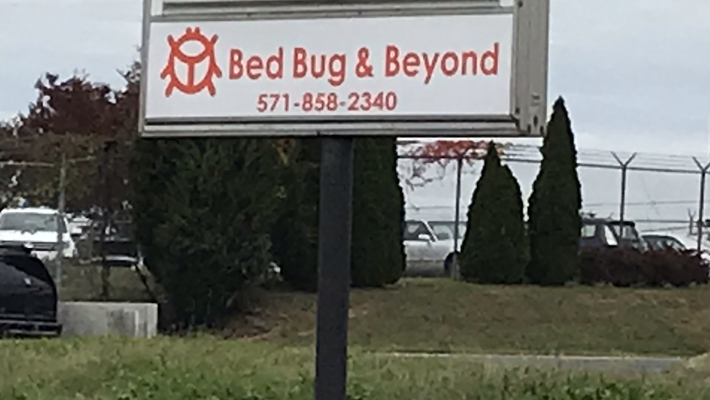 Image for Bed Bug & Beyond with ID of: 7069877