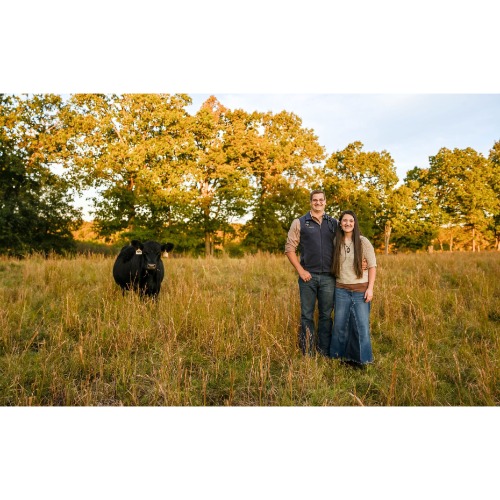 Image for Mountain Top Veterinary Clinic with ID of: 7071667