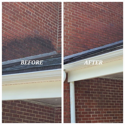 Image for Precision Surface Cleaning and More with ID of: 7071694