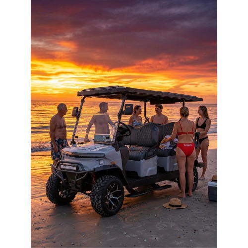 Image for Tigon Golf Carts with ID of: 7075139