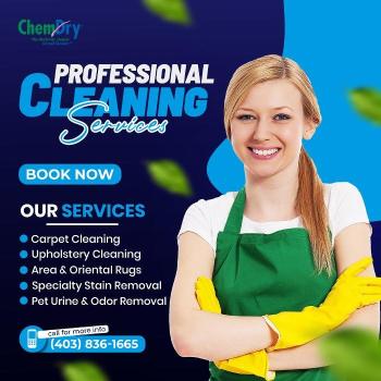 Image for Eco Valley Chem-Dry with ID of: 7075937