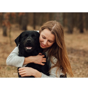 Image for York Davis Veterinary Clinic with ID of: 7076348