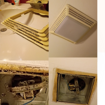 Image for 716 Dryer Vent Cleaning Co. with ID of: 7077163