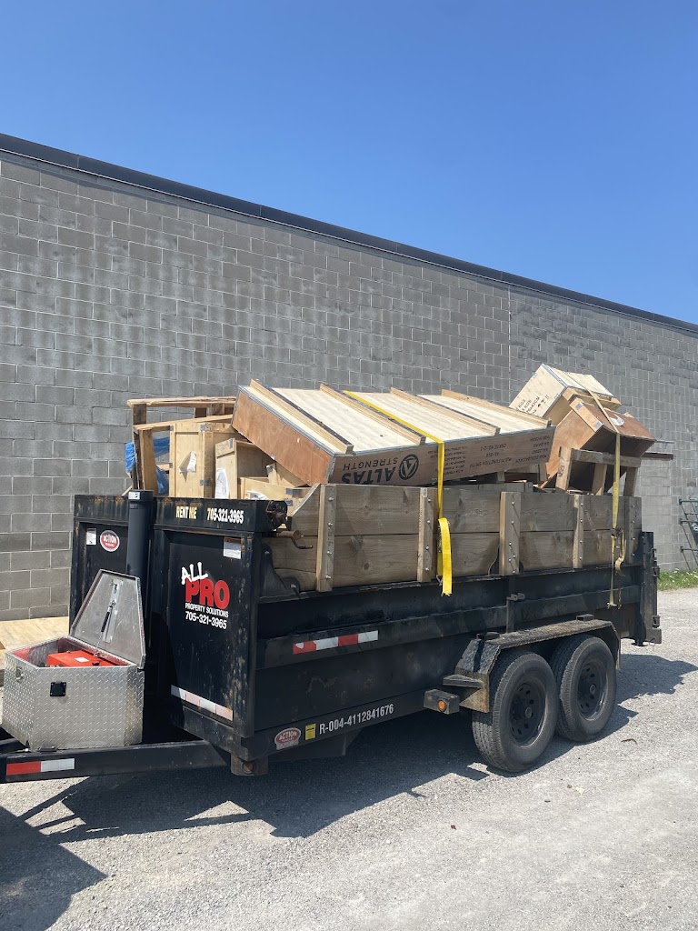 Image for ALL PRO junk removal with ID of: 7077996