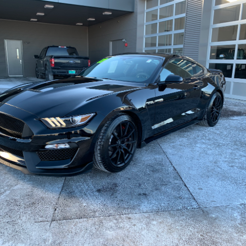 Image for TERA Ford with ID of: 7079552