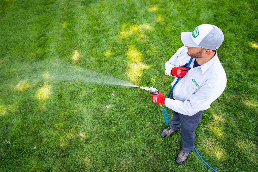 Image for Natura Pest Control with ID of: 7079875