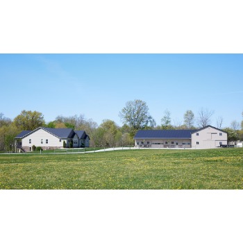 Image for United Pets with ID of: 7080403