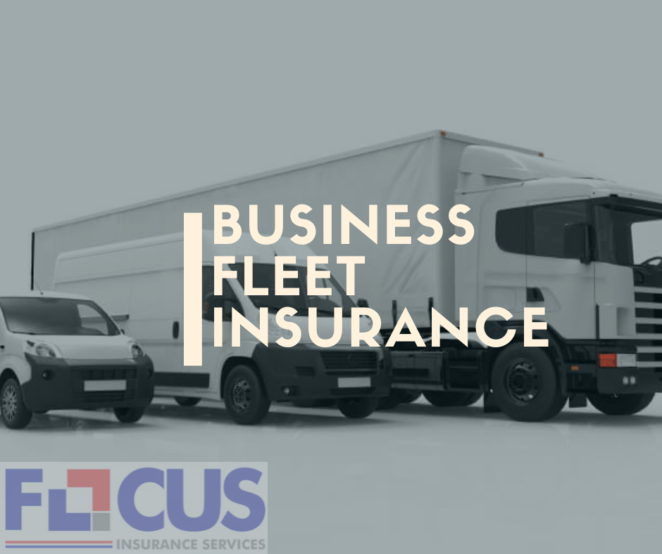 Image for Focus Insurance Services with ID of: 7080426