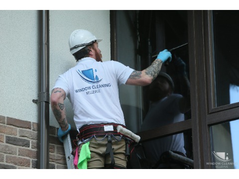 Image for Window Cleaning Bellevue with ID of: 7080802