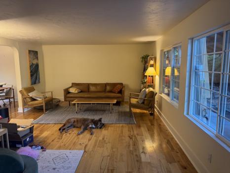 Image for Avision Windows and Doors with ID of: 7081443