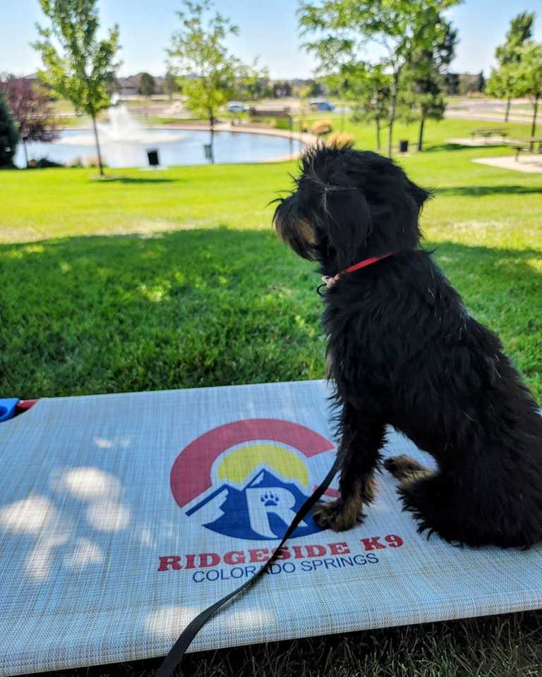 Image for Ridgeside K9 Colorado Springs with ID of: 7081701
