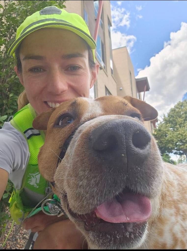 Image for Denver Dog Joggers with ID of: 7081718