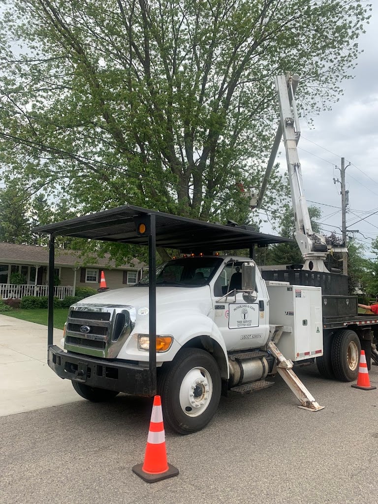 Image for McFarland and Sons Tree Service with ID of: 7082139