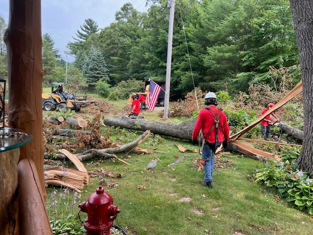 Image for McFarland and Sons Tree Service with ID of: 7082140