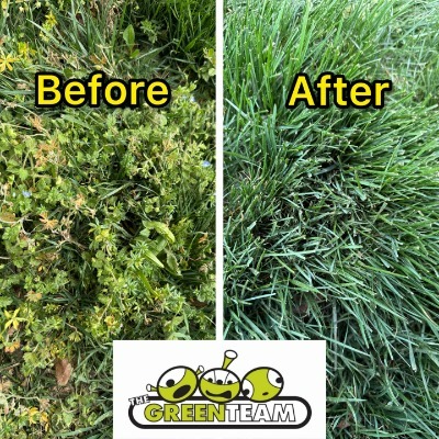 Image for The Green Team with ID of: 7083577