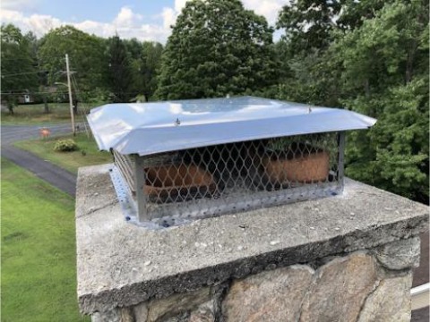 Image for Western Mass Wildlife Removal with ID of: 7083825