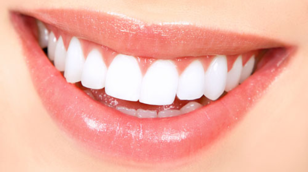 Image for L.E.S. Dental Group with ID of: 7085809