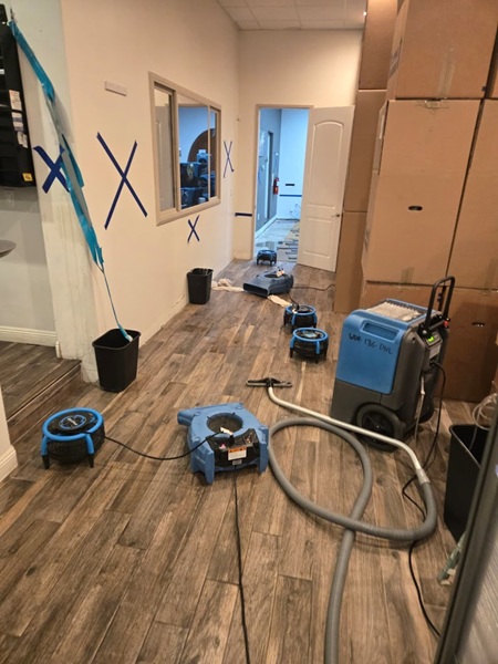 Image for Service Magic Rescue with ID of: 7086451
