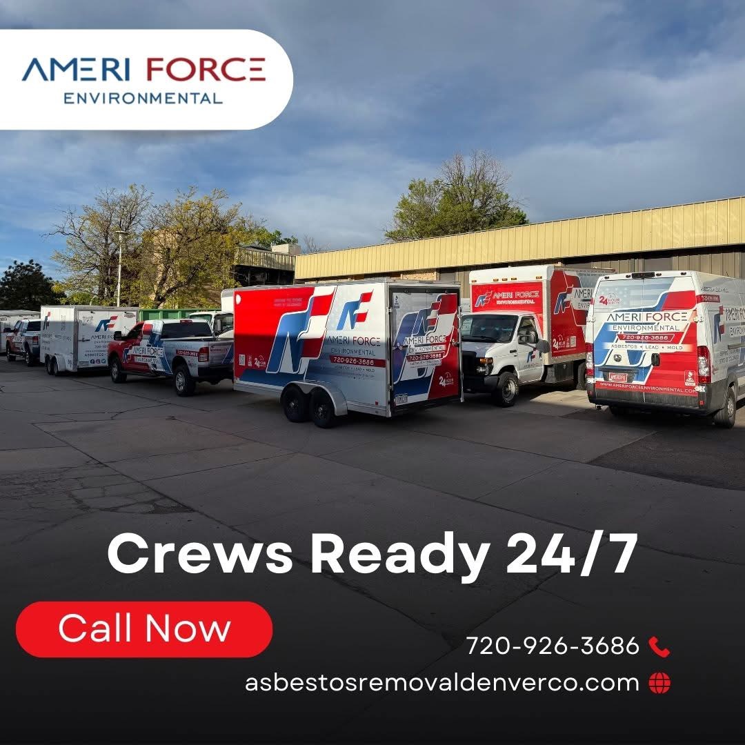 Image for Ameriforce Environmental INC - Colorado Springs with ID of: 7087236
