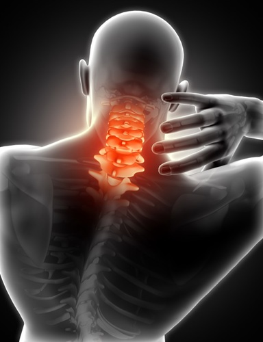 Image for Burnaby Heights Chiropractic with ID of: 7088405