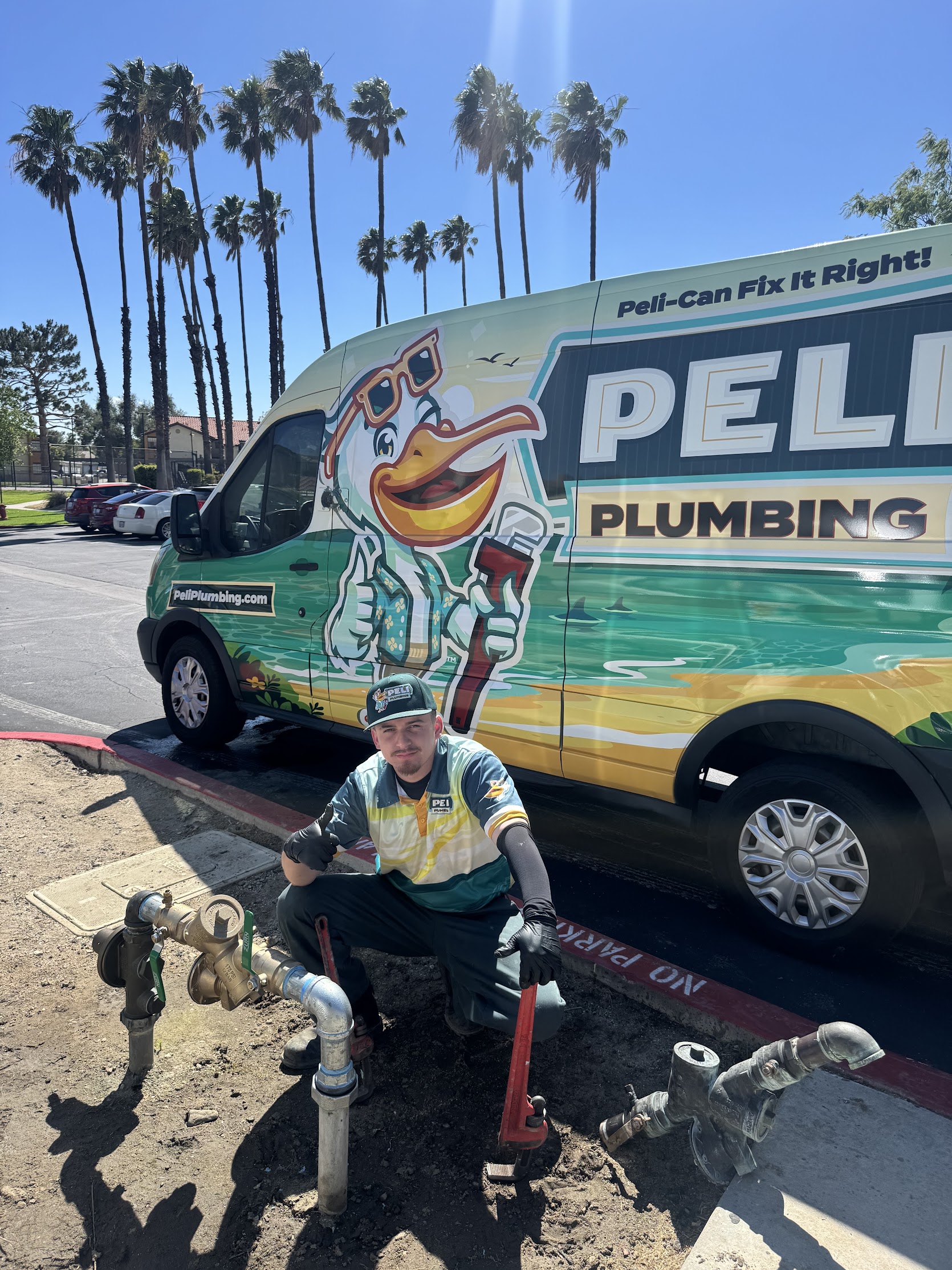 Image for Peli Plumbing with ID of: 7089472