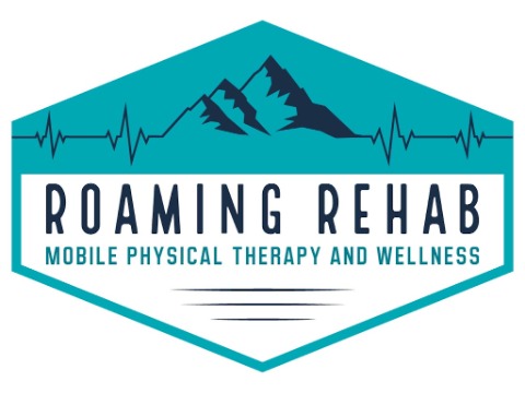 Image for Roaming Rehab Physical Therapy with ID of: 7090425
