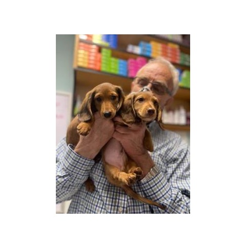 Image for Lindsey Vet Care with ID of: 7090816
