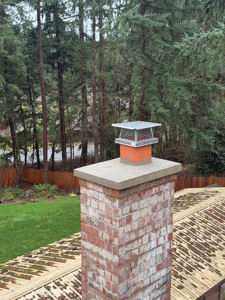 Image for Chimney Sweep Experts Denver with ID of: 7092736
