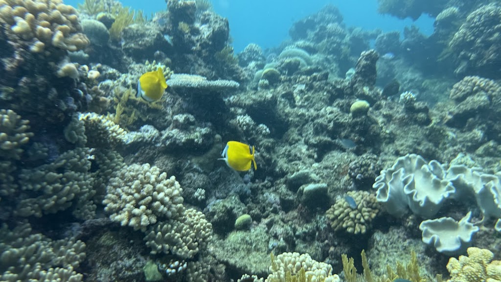 Image for Travel Hub Australia with ID of: 7093393