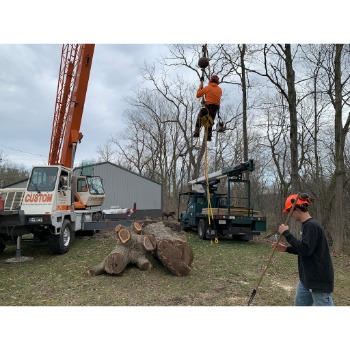 Image for Owen's Tree Care with ID of: 7094711