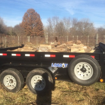 Image for Owen's Tree Care with ID of: 7094718