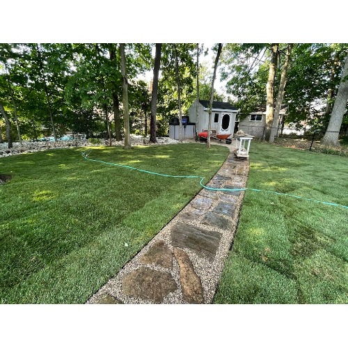 Image for Right On Sod Inc with ID of: 7095234