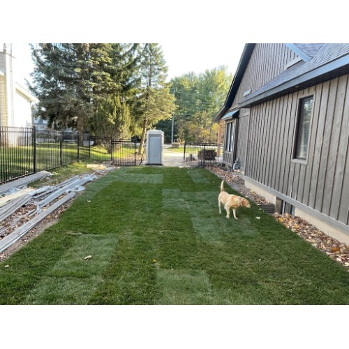 Image for Right On Sod Inc with ID of: 7095242