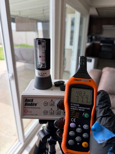 Image for HomeSafe Mold Inspection with ID of: 7095278
