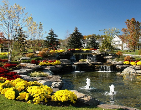 Image for Fullerton Grounds Maintenance with ID of: 7095307
