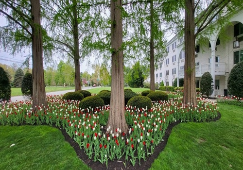 Image for Fullerton Grounds Maintenance with ID of: 7095308