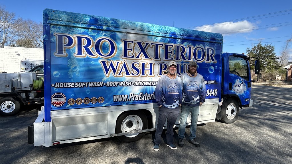 Image for Pro Exterior Wash Plus with ID of: 7096412