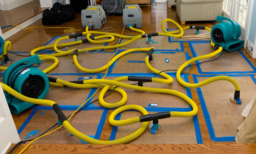 Image for Blue Valley Water Damage Restoration of Leawood with ID of: 7096782
