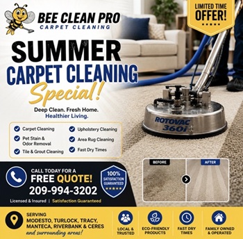Image for Bee Clean Pro Carpet Cleaning with ID of: 7097662