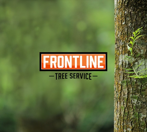 Image for Frontline Tree Service with ID of: 7098398