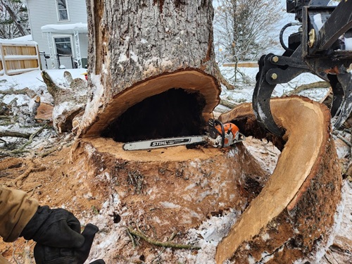 Image for Frontline Tree Service with ID of: 7098401