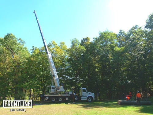 Image for Frontline Tree Service with ID of: 7098405