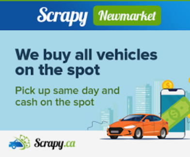 Image for Scrapy Newmarket with ID of: 7099549