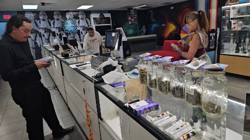 Image for Obi Wan Cannabis with ID of: 7101400