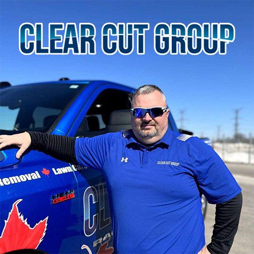 Image for Clear Cut Group with ID of: 7102000