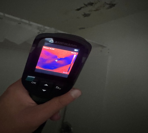 Image for Clear Home Mold Testing with ID of: 7102871